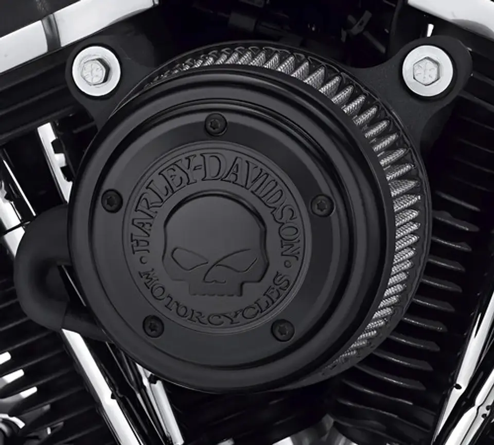 Harley-davidson Willie G Skull Cover Air - Black 2