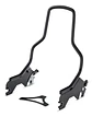 Harley-davidson Softail 18+ Kit Garupa Sissy Bar + Grelha - Thumbnail 3