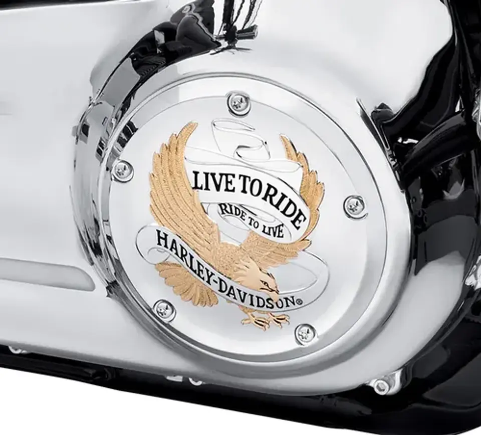 Tampa Primária Live To Ride Harley-davidson Softail 2018-26 2