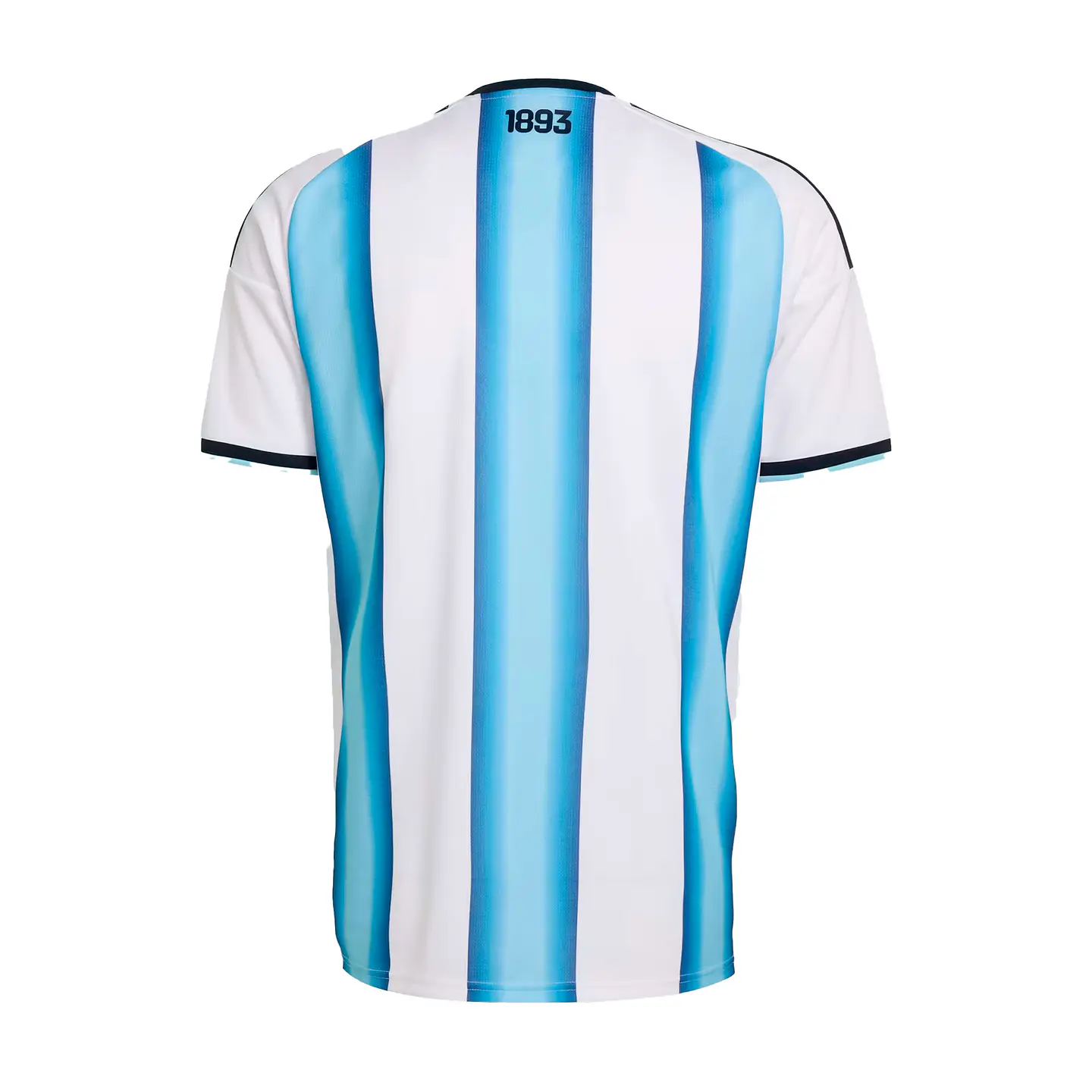 Argentina Local 2026 2