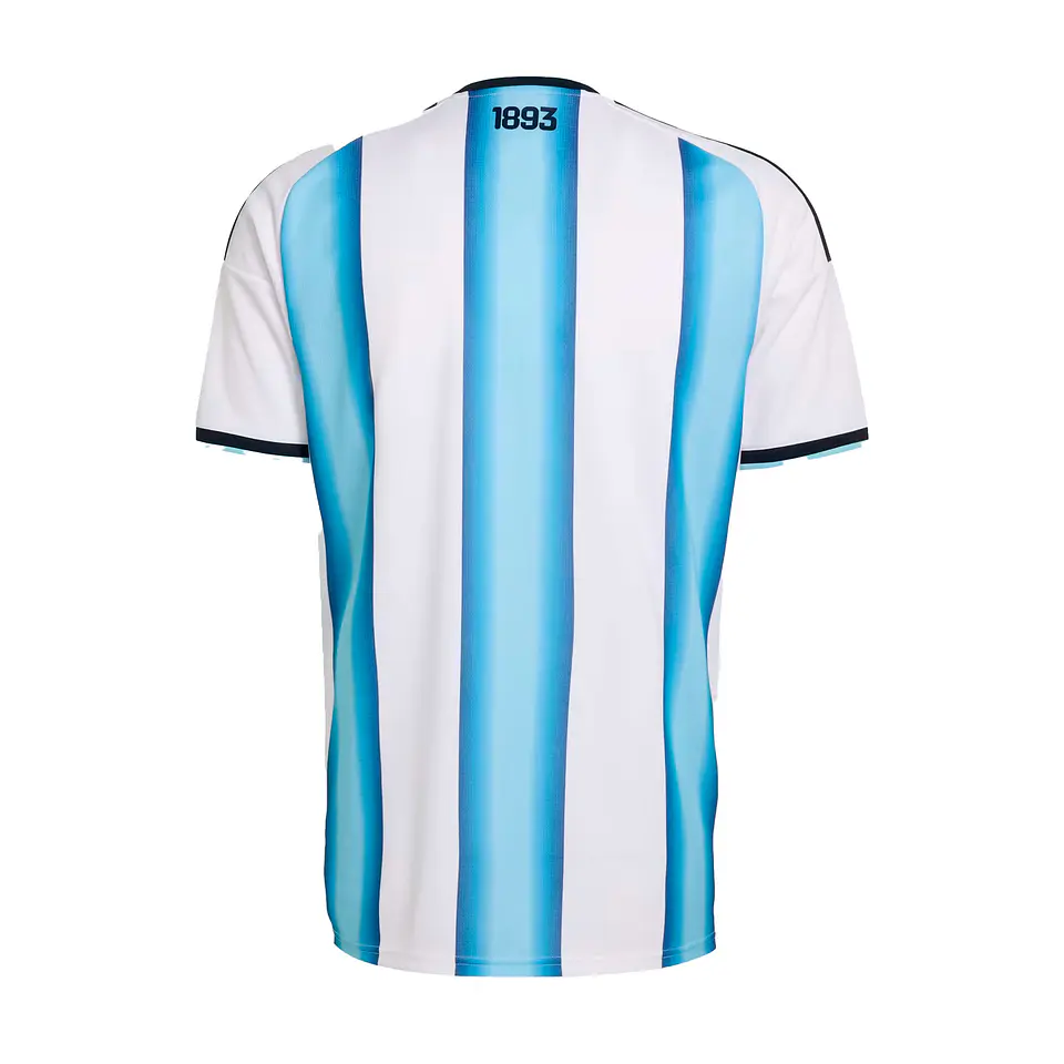 Argentina Local 2026 2