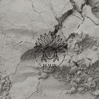 Rapé Brasileño Rezo 10gr 4