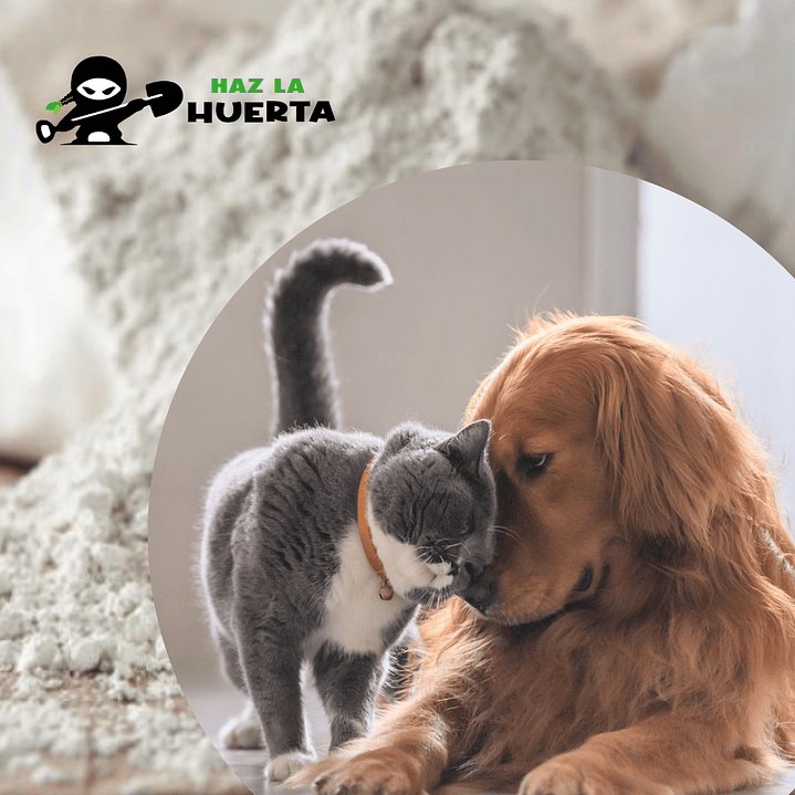 Tierra de diatomeas 4