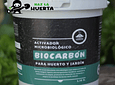 Biocarbón