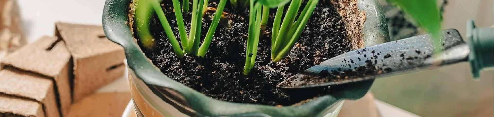 Abonos y Biofertilizantes