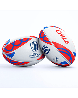 balon Condores Supporters rwc 2023 gilbert