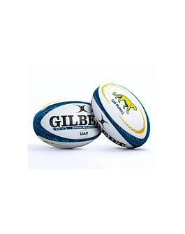 Balon Pumas Argentina Gilbert