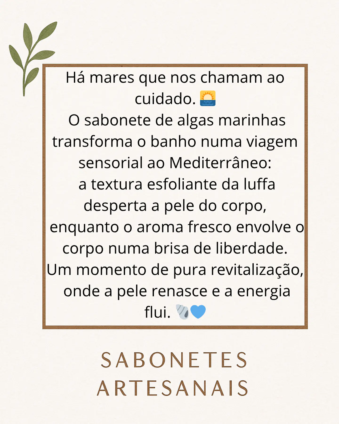 Sabonete XL para Duche, Algas Marinhas & Aroma Mediterrâneo com Esponja Luffa embutida 3