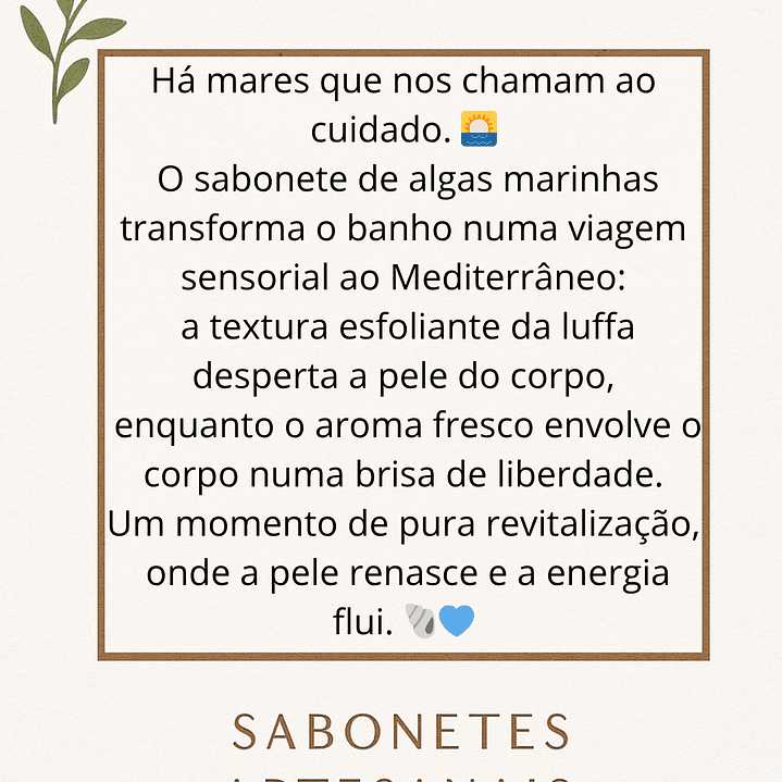 Sabonete XL para Duche, Algas Marinhas & Aroma Mediterrâneo com Esponja Luffa embutida 3