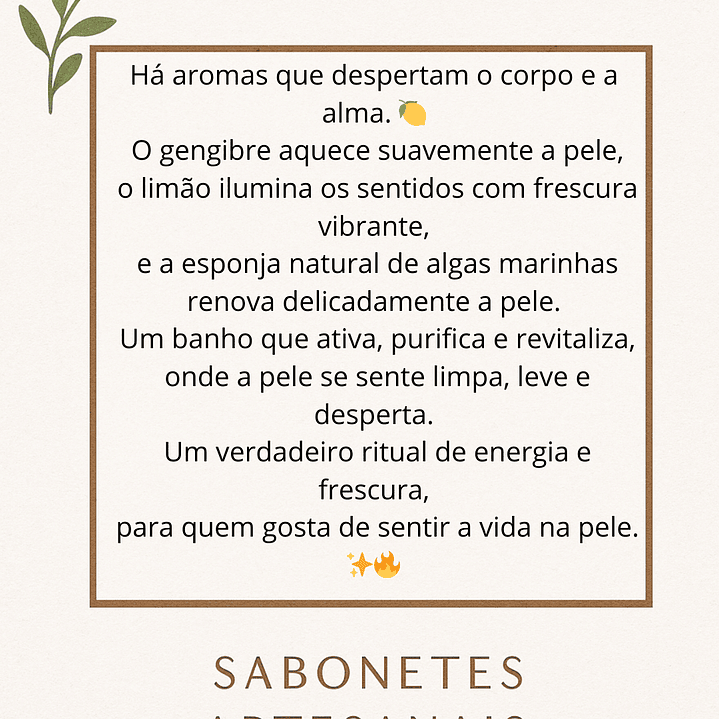 🫚Sabonete Esfoliante de Gengibre & Limão com Esponja Natural integrada🍋 3