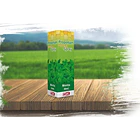 Propolsan Spray Menta Frasco Aplicador En Spray Con 30 Ml. 1