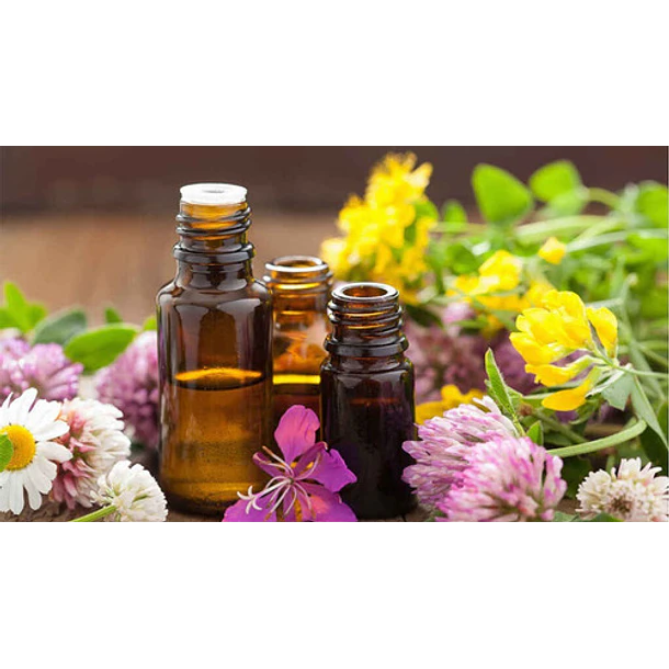 Aceites Esenciales Now Formato 10ml 23