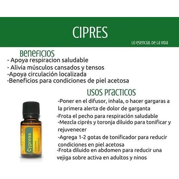 Aceite Esencial Doterra Cypress 15 Ml 2
