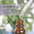 Kit De Aceites Esenciales Now 4 Unidades 7