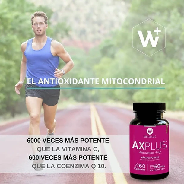 Wellplus Ax Plus 60 Capsulas  5