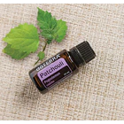 Aceite Esencial Doterra Pachulí (patchouli) 15 Ml 1