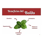 Complejo Detox 500 Ml 4