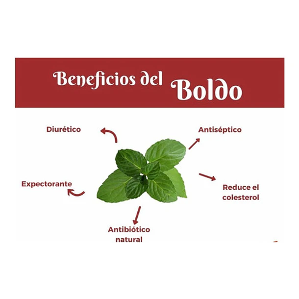 Complejo Detox 500 Ml 4