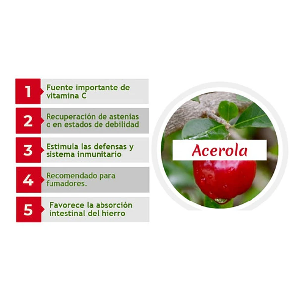 Complejo Detox 500 Ml 5