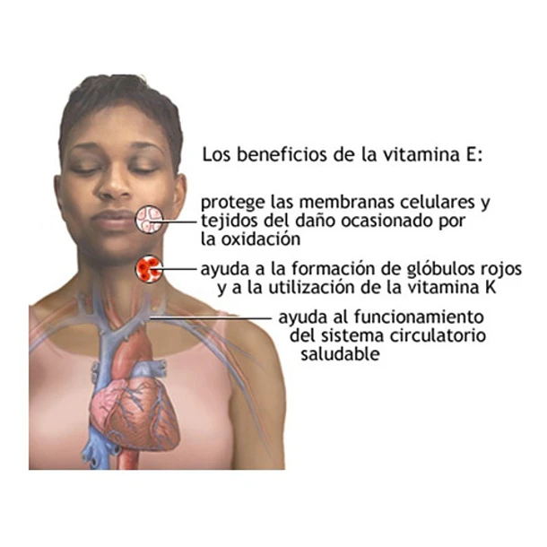 Complejo Detox 500 Ml 8
