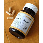 Jalea Real 300mg - Cápsulas Veg - 60 1