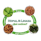 Nopal Y Linaza En Polvo 500 Gr 4