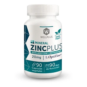 Wellplus Zinc Plus ( Quelado Con L-metionina ) 90 Capsulas