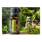 Doterra - Aceite Esencial Lemongrass 15 Ml 1