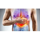 Natures Sunshine - Gastro Health 60 Cápsulas 6
