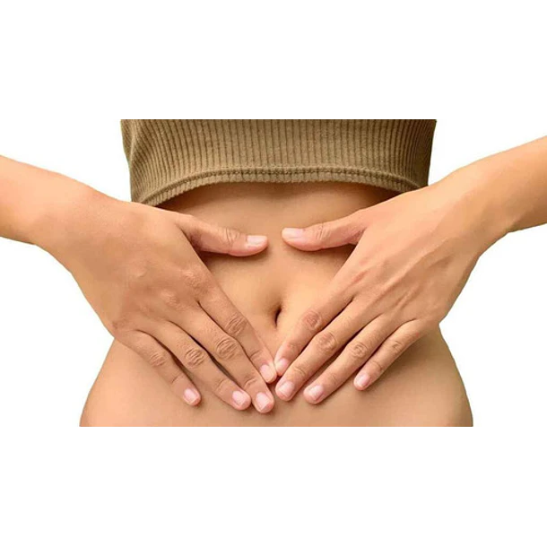 Natures Sunshine - Gastro Health 60 Cápsulas 7