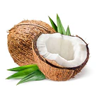 Now Foods - Aceite De Coco Líquido, Puro Fraccionado 118 Ml 4