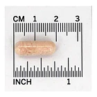 Now Probiotico - 10 Cepa 25 Billones 3