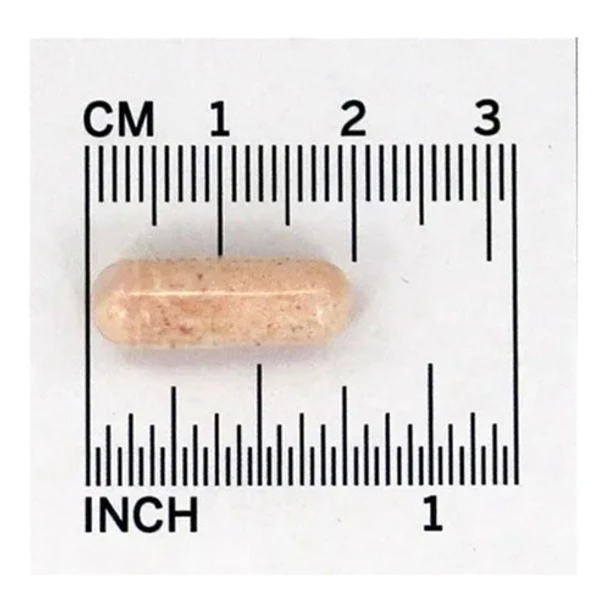 Now Probiotico - 10 Cepa 25 Billones 3