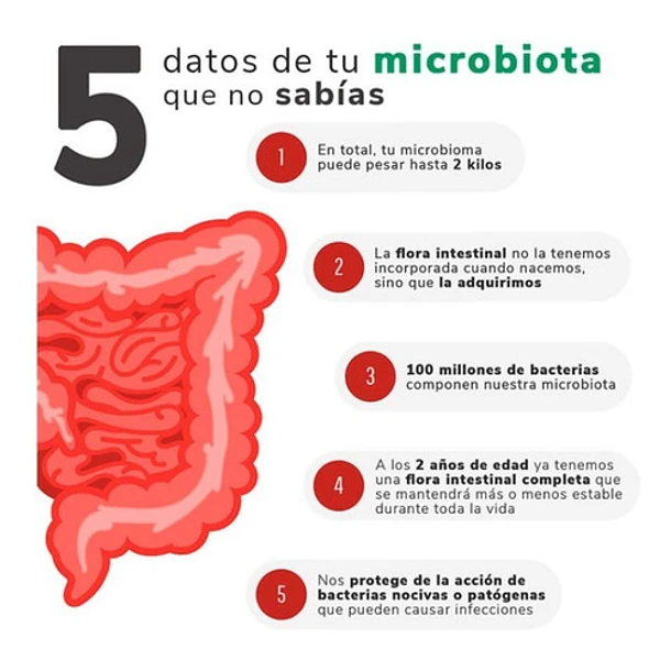 Now Probiotico - 10 Cepa 25 Billones 6