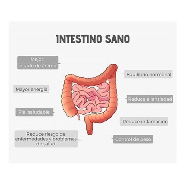 Swanson - Colon Tone 60 Tabletas (salud Del Colon) 3