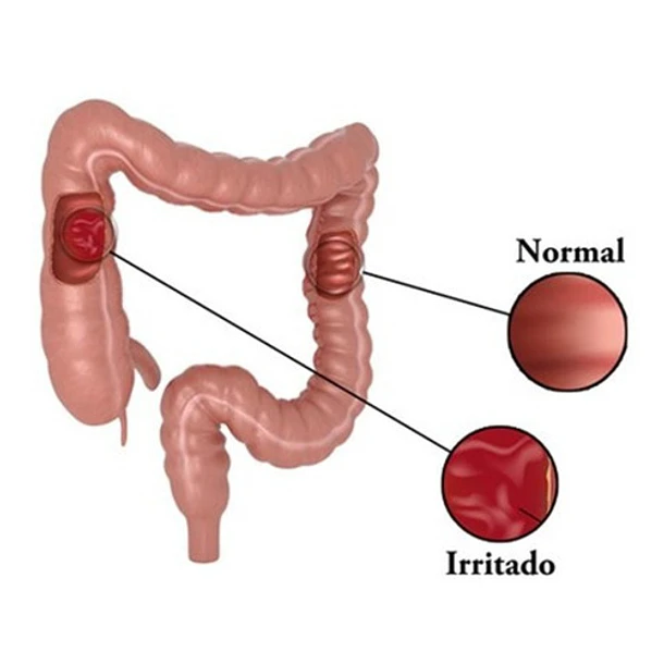Swanson - Colon Tone 60 Tabletas (salud Del Colon) 4