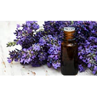 Aceite Esencial Now Lavanda 30ml 3