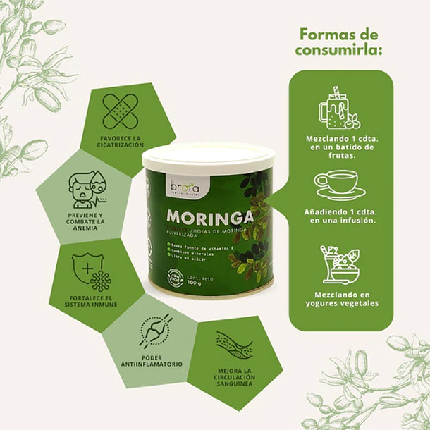 Brota- Moringa En Polvo Brota 100gramos 3
