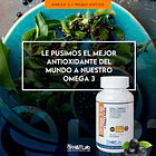 H&tlab - Omega 3 + Maqui Antiox 2000 Mg De Epa/dha 60 Caps 2