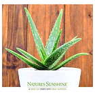 Nature's Sunshine - Aloe Vera 946 Ml 6