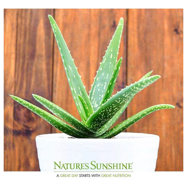 Nature's Sunshine - Aloe Vera 946 Ml 6