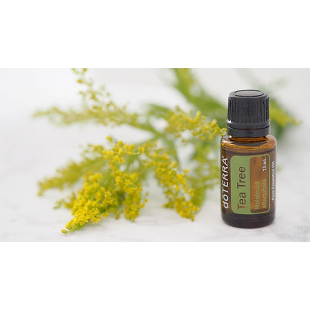 Doterra - Aceite Esencial Arbol De Té 15 Ml (tea Tree) 2