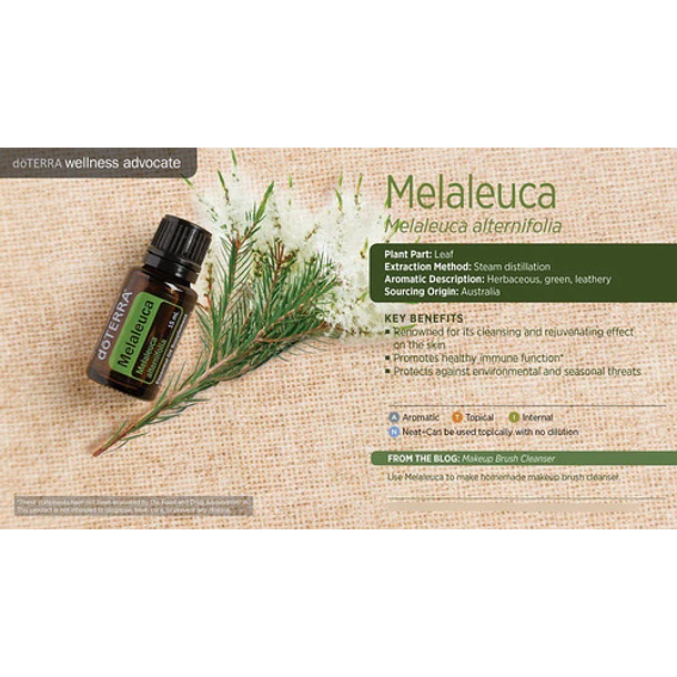 Doterra - Aceite Esencial Arbol De Té 15 Ml (tea Tree) 3