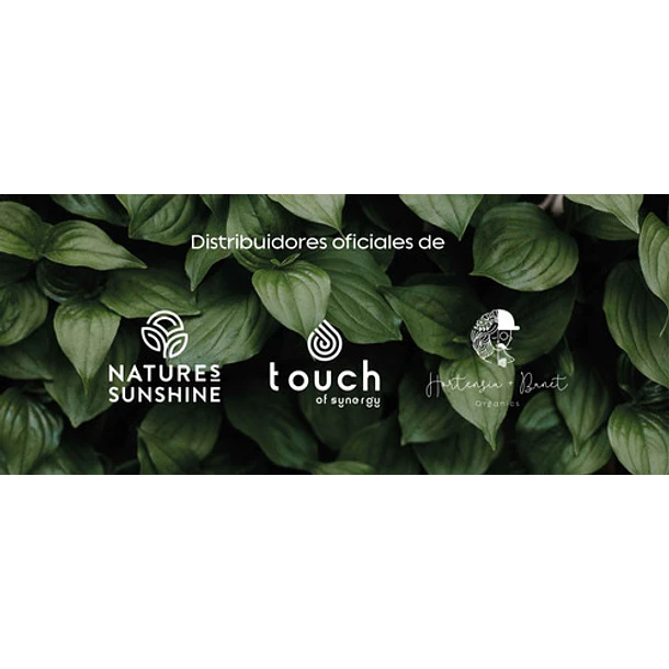 Nature's Sunshine - Pau D' Arco, Palo D Arco (100 Cápsulas) 5