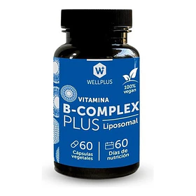 Suplemento En Capsulas Vitamina B Complex 60 Capsulas Wellplus