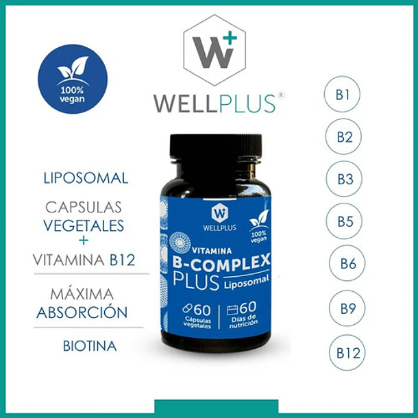 Suplemento En Capsulas Vitamina B Complex 60 Capsulas Wellplus 2