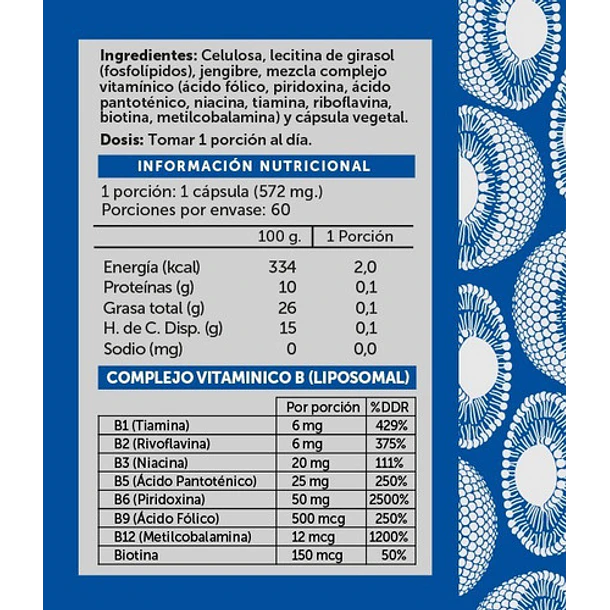 Suplemento En Capsulas Vitamina B Complex 60 Capsulas Wellplus 3