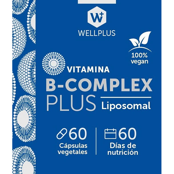 Suplemento En Capsulas Vitamina B Complex 60 Capsulas Wellplus 4