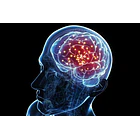 Suplemento En Cápsulas Wellplus Neuromag Pro 90 Cápsulas 6