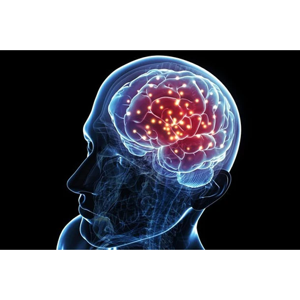 Suplemento En Cápsulas Wellplus Neuromag Pro 90 Cápsulas 6